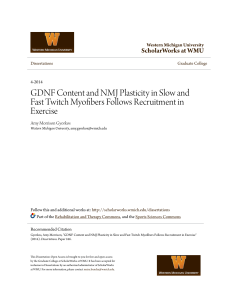 GDNF Content and NMJ Plasticity in Slow and Fast Twitch Myofibers