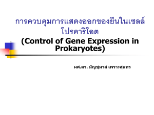 Gene Expression