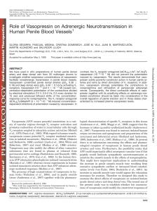 Role of Vasopressin on Adrenergic Neurotransmission in Human