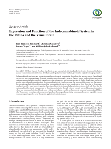 Review Article Expression and Function of the Endocannabinoid