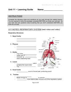 Unit 11 ~ Learning Guide Name