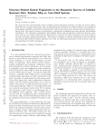 Structure-Related Optical Fingerprints in the Absorption Spectra of