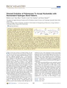 Directed Evolution of Polymerases To Accept Nucleotides with