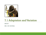 7.1 adaptation and variation