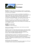 Borobudur - AlamAsia.net