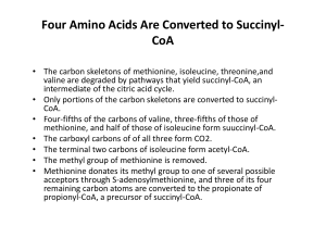 Four Amino Acids Are Converted to Succinyl