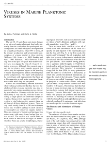 VIRUSES SYSTEMS IN MARINE PLANKTONIC