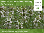 Where the Wild Things Are: Designing for Pollinators