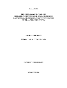 Ph.D. THESIS THE NEUROMODULATOR AND
