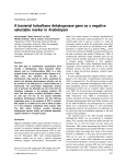 A bacterial haloalkane dehalogenase gene as a negative selectable