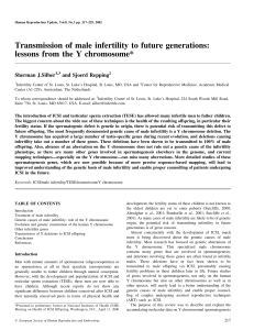 Transmission of male infertility to future generations