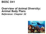 BIOSC 041 Overview of Animal Diversity: Animal Body Plans