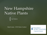 NH Native Plants - Mountain Garden Club