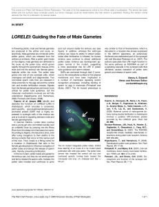 LORELEI: Guiding the Fate of Male Gametes