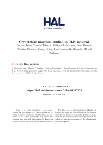 Cryoetching processes applied to ULK material