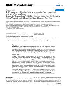 DNA phosphorothioation inStreptomyces lividans: mutational