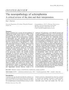 The neuropathology of schizophrenia