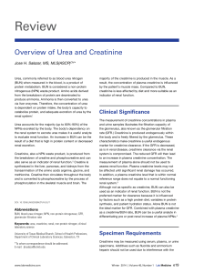 Overview of Urea and Creatinine