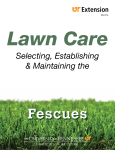 Selecting, Establishing and Maintaining the Fescues
