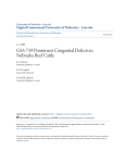 G85-759 Prominent Congenital Defects in Nebraska Beef Cattle