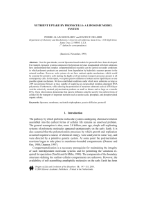 Nutrient uptake by protocells: a liposome model system