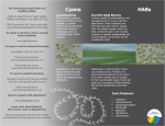 CyanoHAB FAQ Brochure