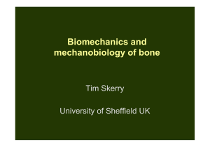 Biomechanics and mechanobiology of bone