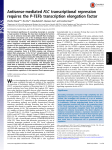 Antisense-mediated FLC transcriptional repression requires the P