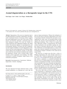 Axonal degeneration as a therapeutic target in the CNS | SpringerLink