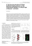 A Journey from the Pool of Chiral Synthetic Building Blocks to Cell