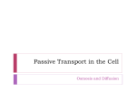 Passive Transport in the Cell