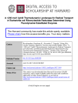 A >200 meV Uphill Thermodynamic Landscape for Radical