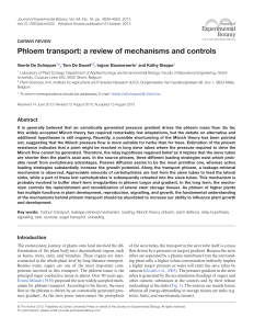 Phloem transport: a review of mechanisms and