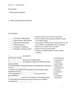 SI Worksheet 12