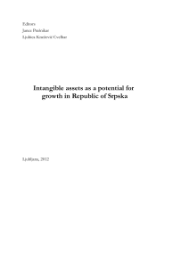 Intangible assets as a potential for growth in Republic of Srpska
