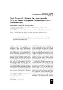 Flesh fly myiasis - Phyllomedusa - Journal of Herpetology