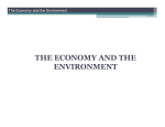 THE ECONOMY AND THE ENVIRONMENT