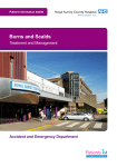 PIN1053_Burns_and_Scalds_w - Royal Surrey – County Hospital