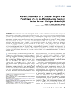 Genetic Dissection of a Genomic Region with Pleiotropic Effects on