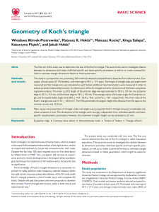 Geometry of Koch`s triangle