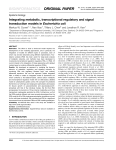 Integrating metabolic, transcriptional regulatory and