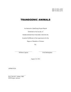 transgenic animals - Worcester Polytechnic Institute