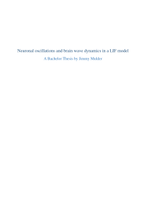 Neuronal oscillations and brain wave dynamics in a LIF model