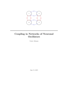 Coupling in Networks of Neuronal Oscillators (Spring 2015)
