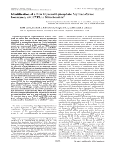 Identification of a New Glycerol-3-phosphate - UNC
