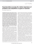 Experimentally assessing the relative