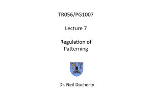PG1007 Lecture 7 Anterior-Posterior Patterning, HOX Genes and