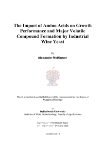 The Impact of Amino Acids on Growth Performance