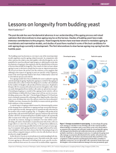 Lessons on longevity from budding yeast