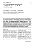 The Combinatorial Activities of Nkx2.5 and dHAND Are Essential for